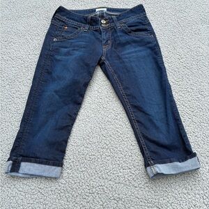 Hudson capri pants made in US sz 24